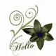 Hello