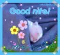 good nite