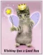 fairy cat