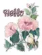 Hello