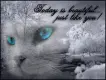 today is beautiful day
