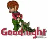 good night