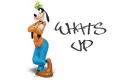 What's Up