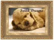 sweet dreams
