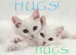 hugs!