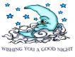 Wishing You A Good Night