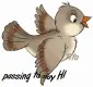 passing to say hi