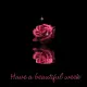 have a beautiful week