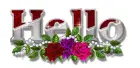 Hello roses