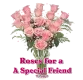Roses with text