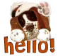 Hello!