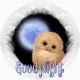 good night