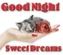 good night
