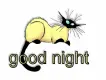 good night