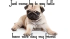 JUST CAME BY TO SAY HELLO HAVE A NICE DAY MY FRIEND