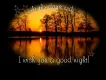 good night lake