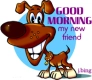 good morning my new friend