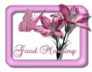 good morning