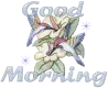 Hummingbird Morning