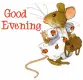 good evening