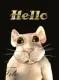 hello