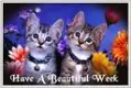 Have a nice day