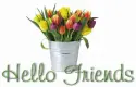 hello