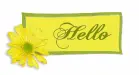 Hello