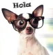 hola