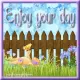 Enjoy your day