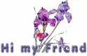 Hi my friend w/ flowers
