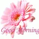 Good 