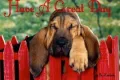 HAVE A GREAT DAY