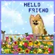 hello