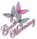 good moring butterflys
