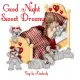GOOD NIGHT SWEET DREAMS