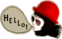 hello