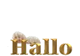 Hello
