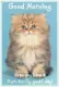 Kitten Goodmorning