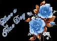 HAVE A NICE DAY