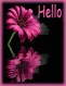 HELLO
