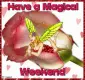Have a Magical Weekend