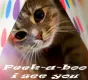 peek-a-boo i see u