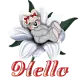 HELLO