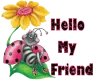 Hello My Friend...