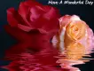 Have a wonderful day