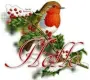 Christmas Bird