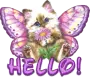 Hello!