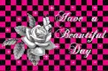 Have a Beautiful day