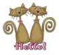 Hello